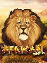 AfricanWildlife